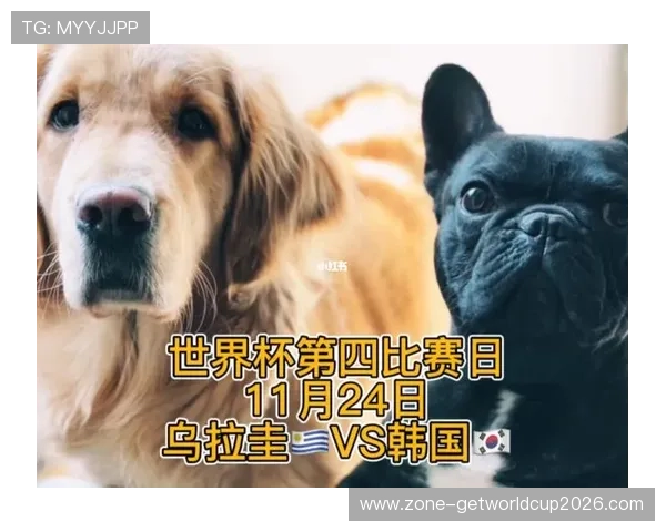 世界杯沙特乌拉圭球衣官方授权版与仿制品区别详解帮助消费者辨别真伪